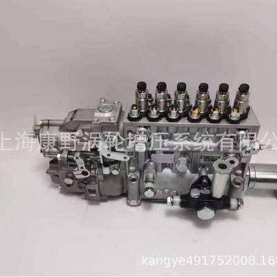 工程用喷油泵106675-466B-466F和101605-0090 115603-3950带齿轮