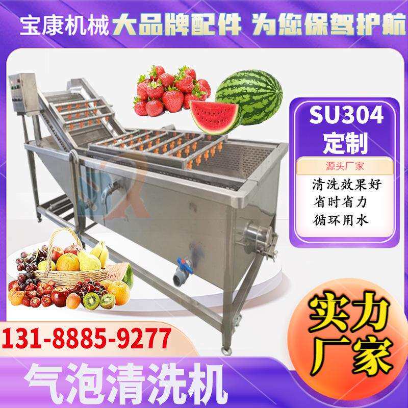 土豆芹菜气泡清洗设备商用全自动洗菜机杨梅蔓越莓清洗机器