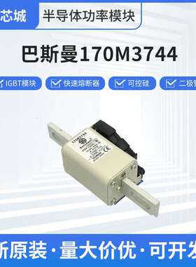 巴斯曼170M3744限流式熔断器170M6014原厂出货可开专票