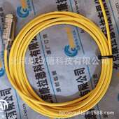 100 GOLAMMERTR12 1温度开关TR12