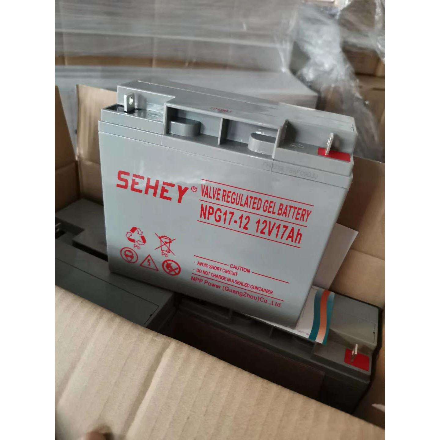 西力蓄电池NPG17-12多功能12v24ah38ah65ah100ah太阳能光伏计算机