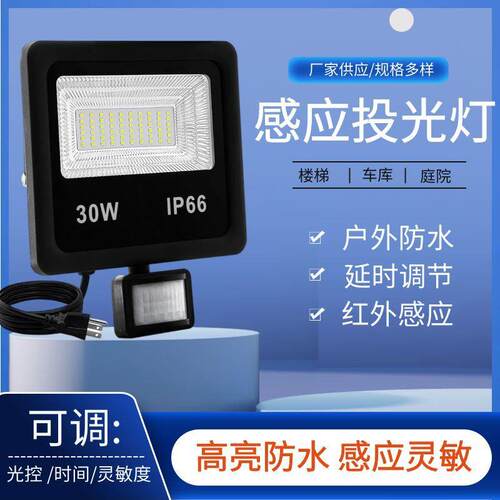新品30W感应投光灯户外走廊过道车库楼道照明30W感应投光灯