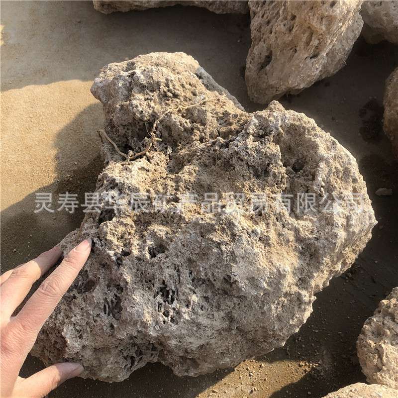 矿山盆景假山造景雕刻用 吸水石 麦管石 上水石 原石量大价优