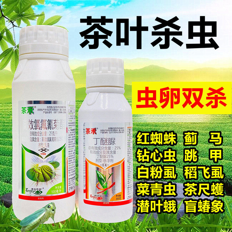 茶树茶叶专用农药店杀虫剂丁醚脲氯氰氟菊酯高效茶小绿叶蝉白飞虱