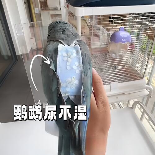 鹦鹉屎兜牡丹虎皮玄凤和尚专用大容量尿不湿可牵引飞行服鸟衣服