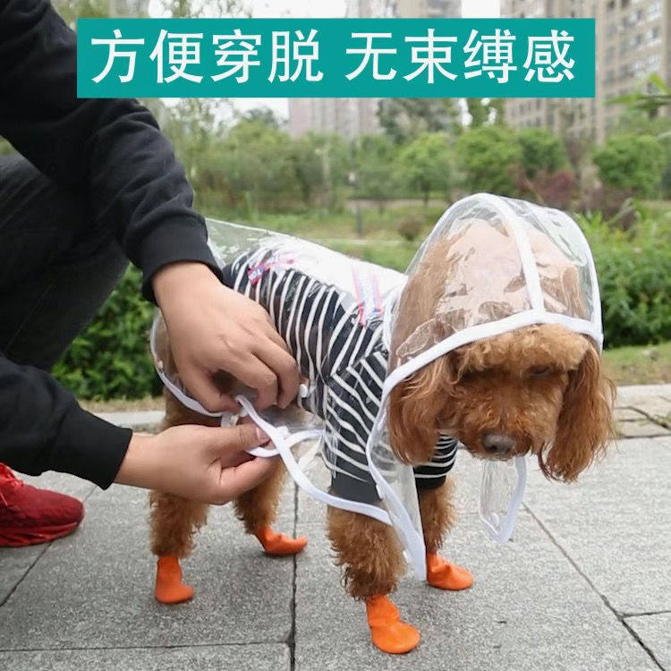 狗狗透明雨衣小中型犬泰迪小狗专用柴犬雨披防水宠物衣服遛狗防脏