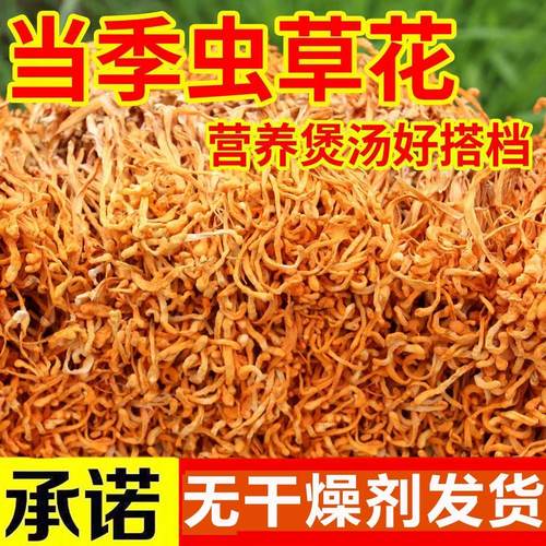 虫草花干货500g正品散装