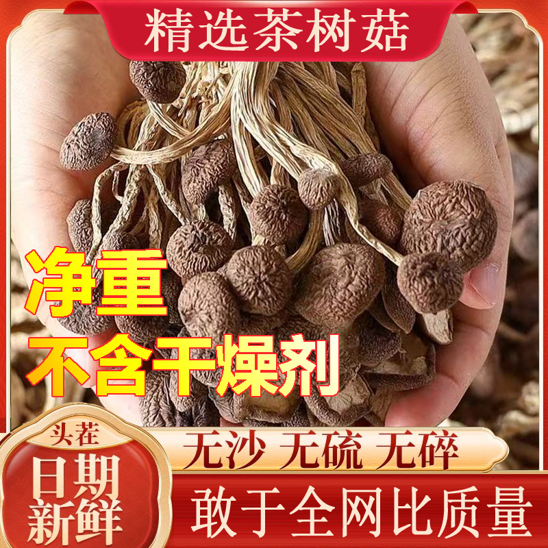 新货净重茶树菇干货500g古田新鲜干菇类批发炖汤煲汤香菇花菇