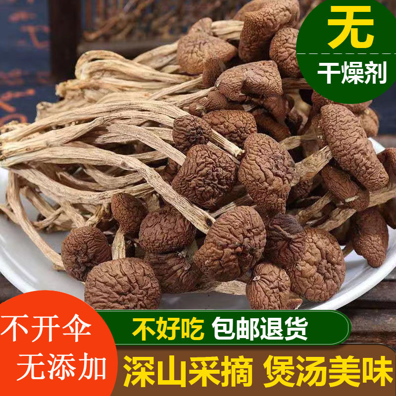 新货净重茶树菇干货500g古田新鲜干菇类批发炖汤煲汤香菇花菇