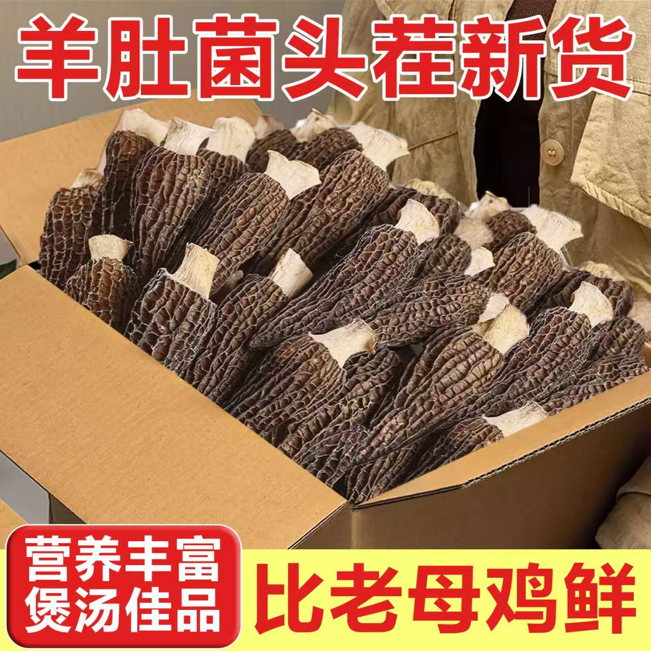 头茬羊肚菌干货新鲜个头大羊肚菇煲汤食材羊肚蘑牛肚菌类羊肚干货