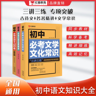 【红猫】初中语文阅读理解基础知识九年级知识点练习题解语文考试