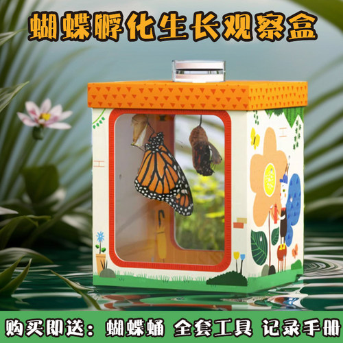 破茧成蝶观察盒蝴蝶蛹儿童观察