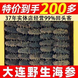 大连纯野生海参干货淡干海参辽参刺参长岛海参深海辽刺参礼盒顺丰