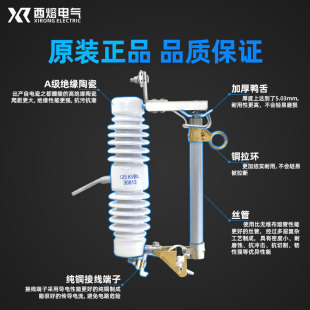 100 户外令克开关 200A RW12 熔断器 高压保险 西熔10KV跌落式