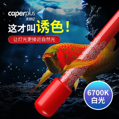 光特亿鱼缸灯龙鱼专用发色灯诱色