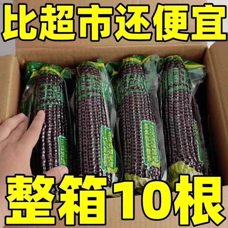 东北黑糯玉米甜糯粗粮营养早餐