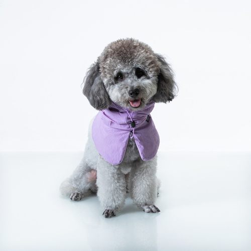 sniff宠物狗狗围巾围脖