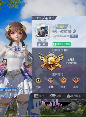 ss28单排/双排/四排/无敌战神包框找客服聊价