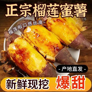 板栗蜜薯糖心红薯新鲜农家自种板栗黄金番薯现挖烤地瓜山芋uh16