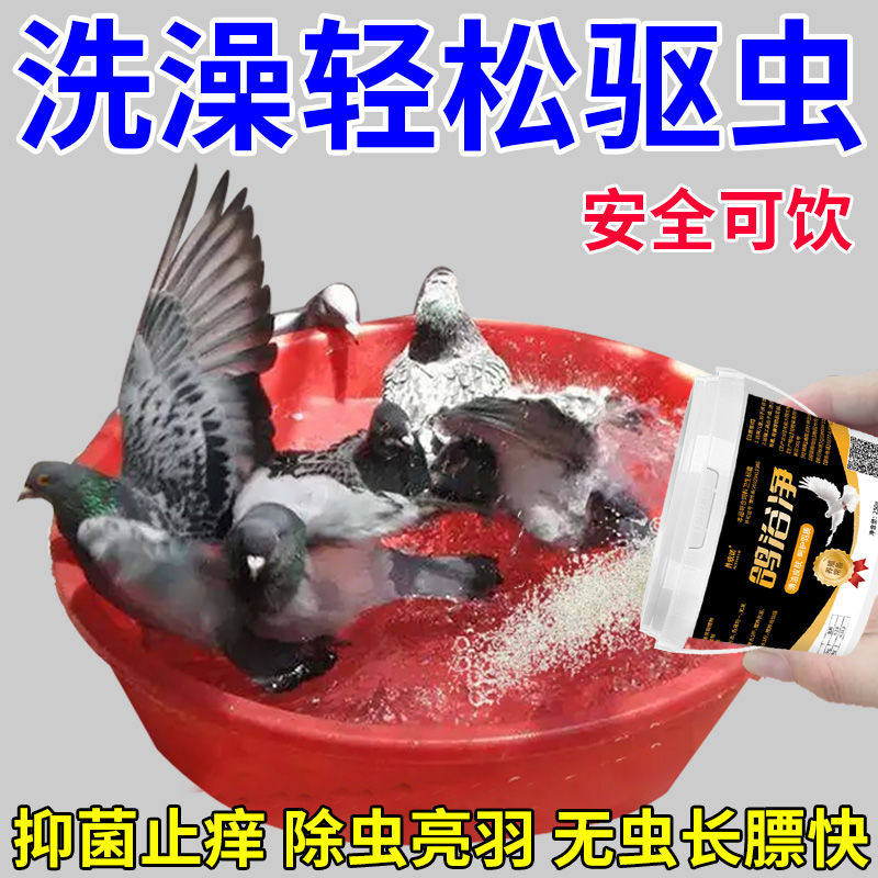 鸽浴净鸽子体外驱虫杀菌除螨止痒赛信鸽鸟类驱羽虱螨虫洗澡浴粉