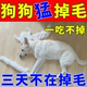 狗狗掉毛专用药吃什么维生素神器防止狗脱毛严重鱼油卵磷脂用品