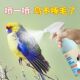 鹦鹉驱虫喷雾鸟用体外杀虫剂除羽虱螨虫净肤喷剂除臭玄凤虎皮用品