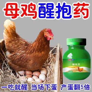 醒抱灵鸡抱窝速醒鸡鸭鹅抱窝不起来拉窝不让孵小鸡醒抱饲料添加剂