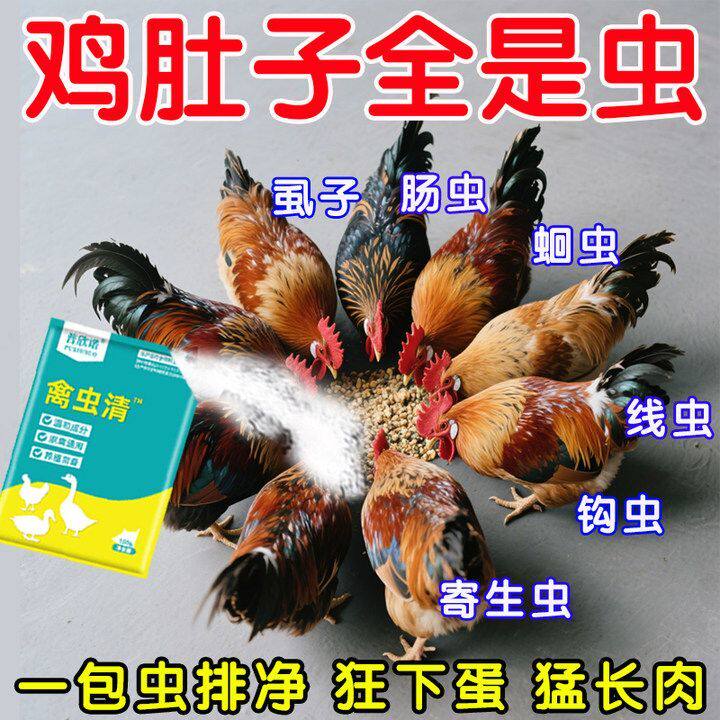 禽虫清鸽子体内外驱虫赛鸽信鸽肉鸽鹦鹉鸡鸭鹅禽类鸟类养鸽常备药