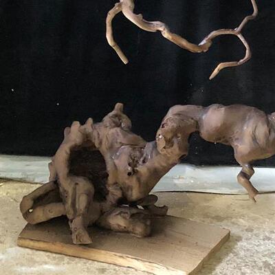 景观树植物去皮枯树枝干室内庭院软装摆件户外造型树庭院干树枝