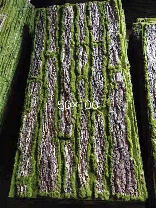 仿真植物墙青苔藓草坪绿色植物场景装饰橱窗展示假苔藓珍珠棉草皮