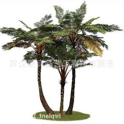 东莞仿真植物桫椤树仿真桫椤树系列各种景观工程仿真娑罗树定制