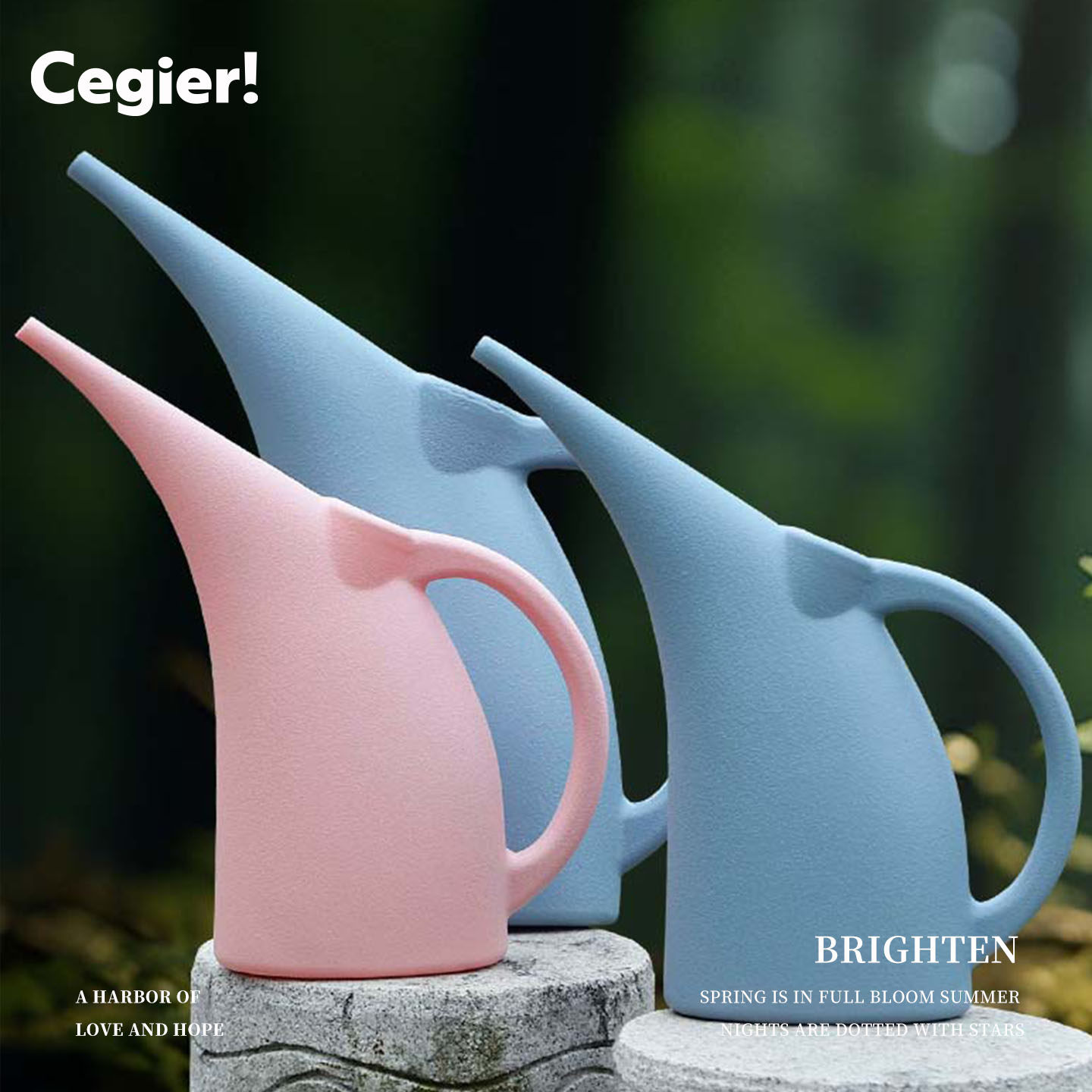 Cegier.出口版长嘴浇花水壶洒水壶专用浇水神器家用大容量 | 翼俯