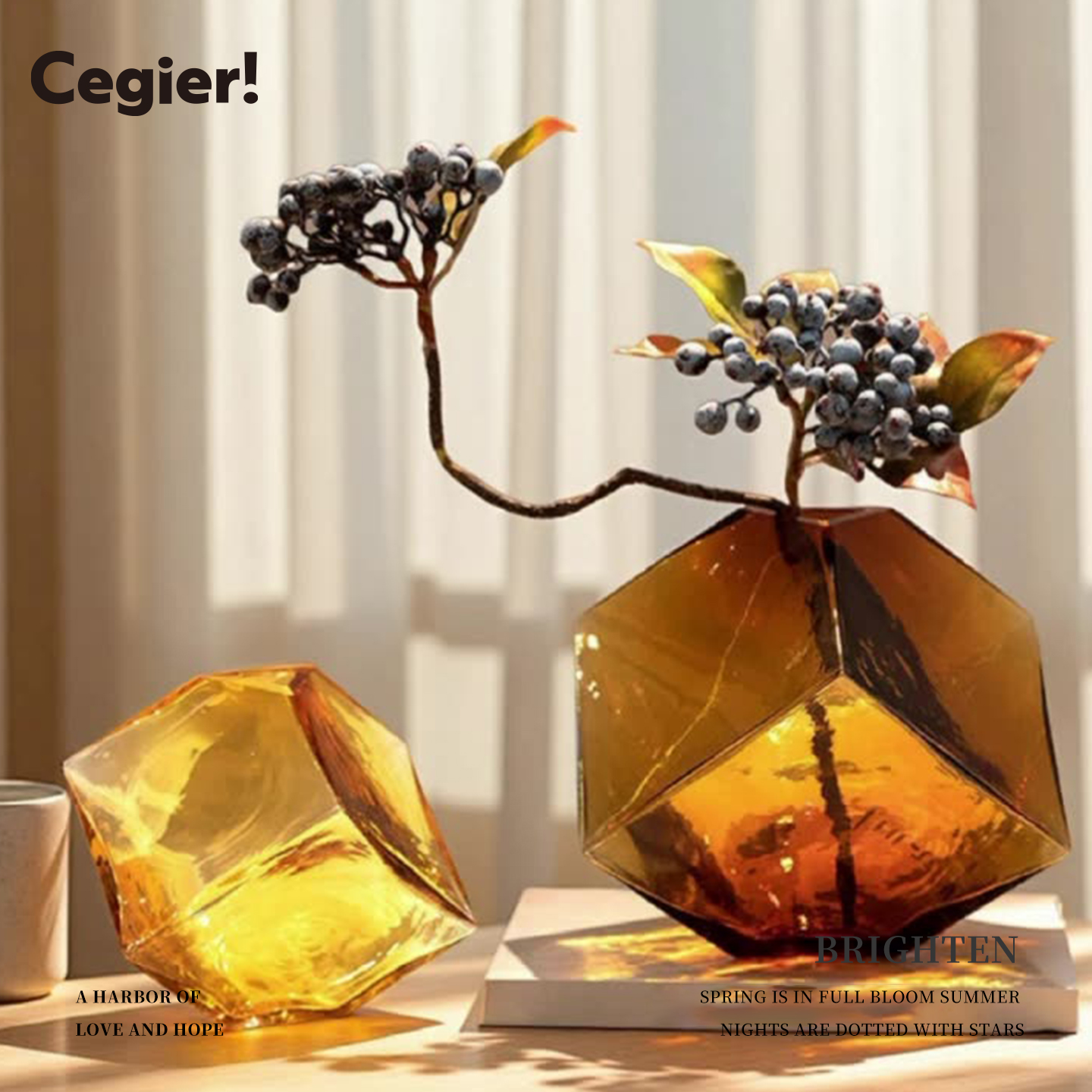 Cegier.凹面魔方形水培玻璃花瓶
