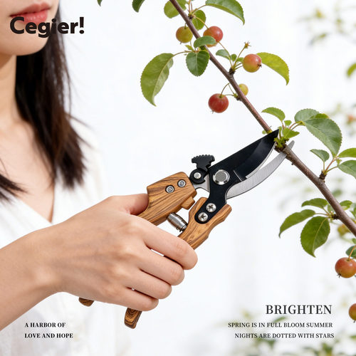 Cegier园艺剪刀省力修枝剪果树剪