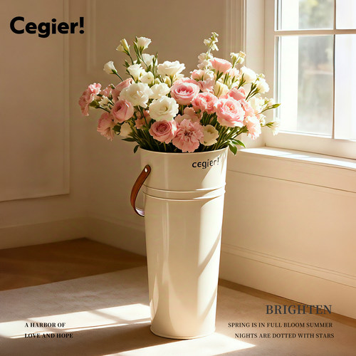Cegier醒花桶家用泡鲜花束插花