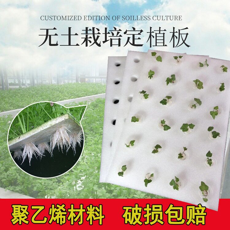 水培蔬菜种植面板鱼菜共生漂浮床无土栽培设备鱼塘水上种菜泡沫块