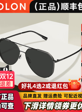 暴龙眼镜驾驶偏光防紫外线太阳镜男款开车专用墨镜官方正品BL8100