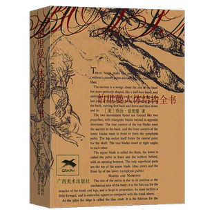 伯里曼人体结构全书 (美)乔治·伯里曼|译者:晓鸥 辛昕 小野 人体人物绘画教学入门技法艺术教程 动漫画手解剖 美术艺考图书籍