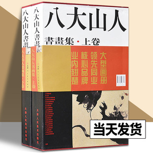 国画画册画谱写意花鸟鱼虫山水作品画集中国古代历代名家精品集 八大山人书画全集 天津人民美术出版 书籍 社 正版