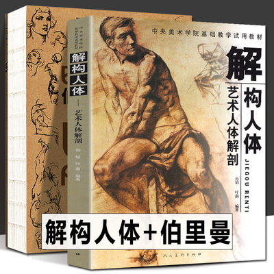 【2册548页】解构人体+伯里曼人体结构绘画教学 中央美术学院入门基础教材教程骨骼肌肉全身艺术人体解剖造型雕塑素描速写临摹书籍
