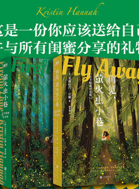 新版【2册套装】萤火虫小巷+再见萤火虫小巷 克莉丝汀汉娜 探讨女性一生会遇到的所有问题伟大的孤独 文学小说 磨铁图书正版包邮