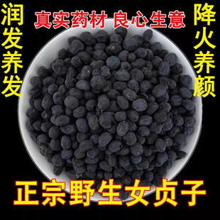 正宗野生女贞子500g 药材中野生女贞子男人泡酒夜楼兰配旱莲草 包邮