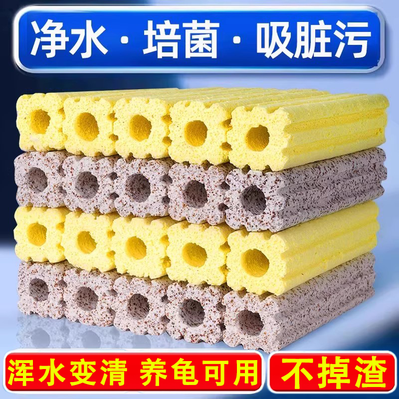 【1000w人选择了】加硬8D细菌屋