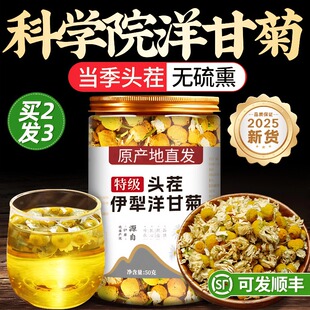 特级洋甘菊中药材菊花干枸杞金银花茶胎菊泡茶专用女养生茶包正品