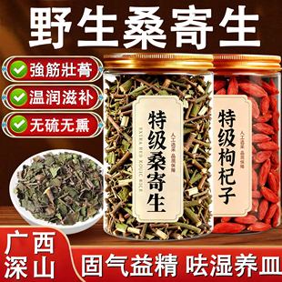 桑寄生中药材正品官方旗舰店野生茶纯天然无硫熏泡水喝的功效特级