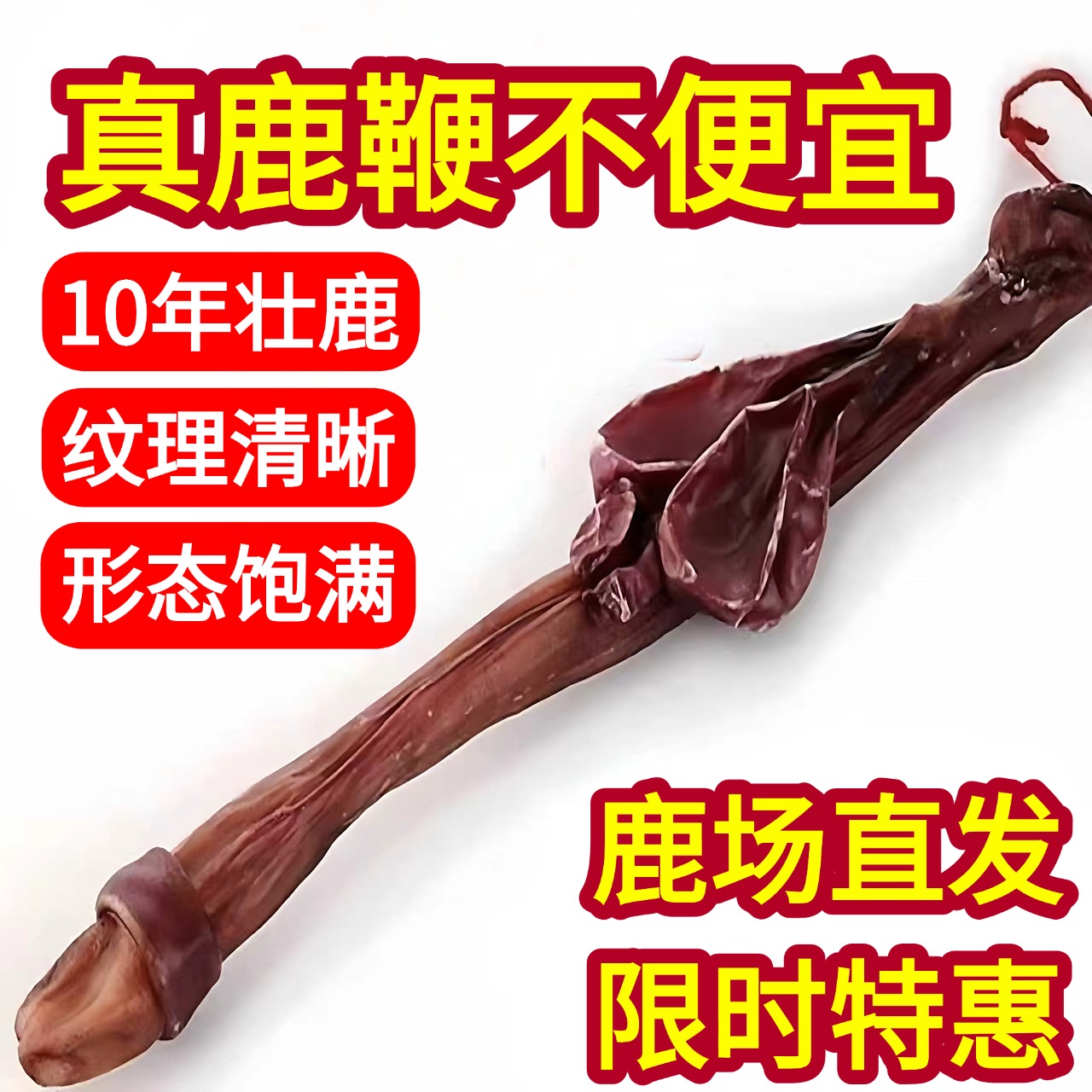 冲销量吉林梅花鹿鞭干整