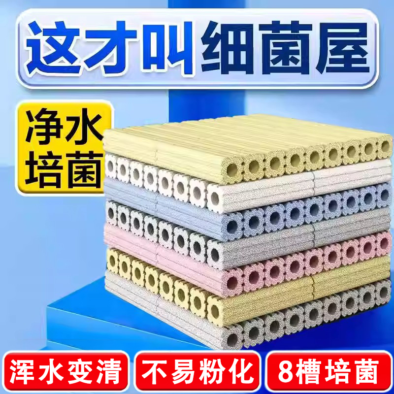 【1000w人选择了】加硬8D细菌屋