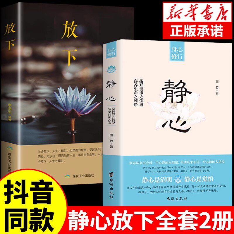 静心书籍正版放下人生智慧哲学人生三大学问青春成功励志正能量治愈系修心修身养性哲理必看的书畅销书排行榜成人推荐