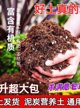 通用型泥炭营养土大包养花种菜土育苗多肉土绿植花土有机种植土壤