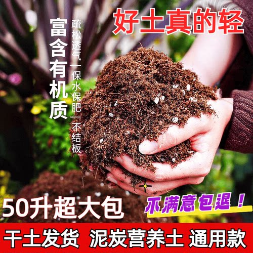 养花通用型种菜有机泥炭土